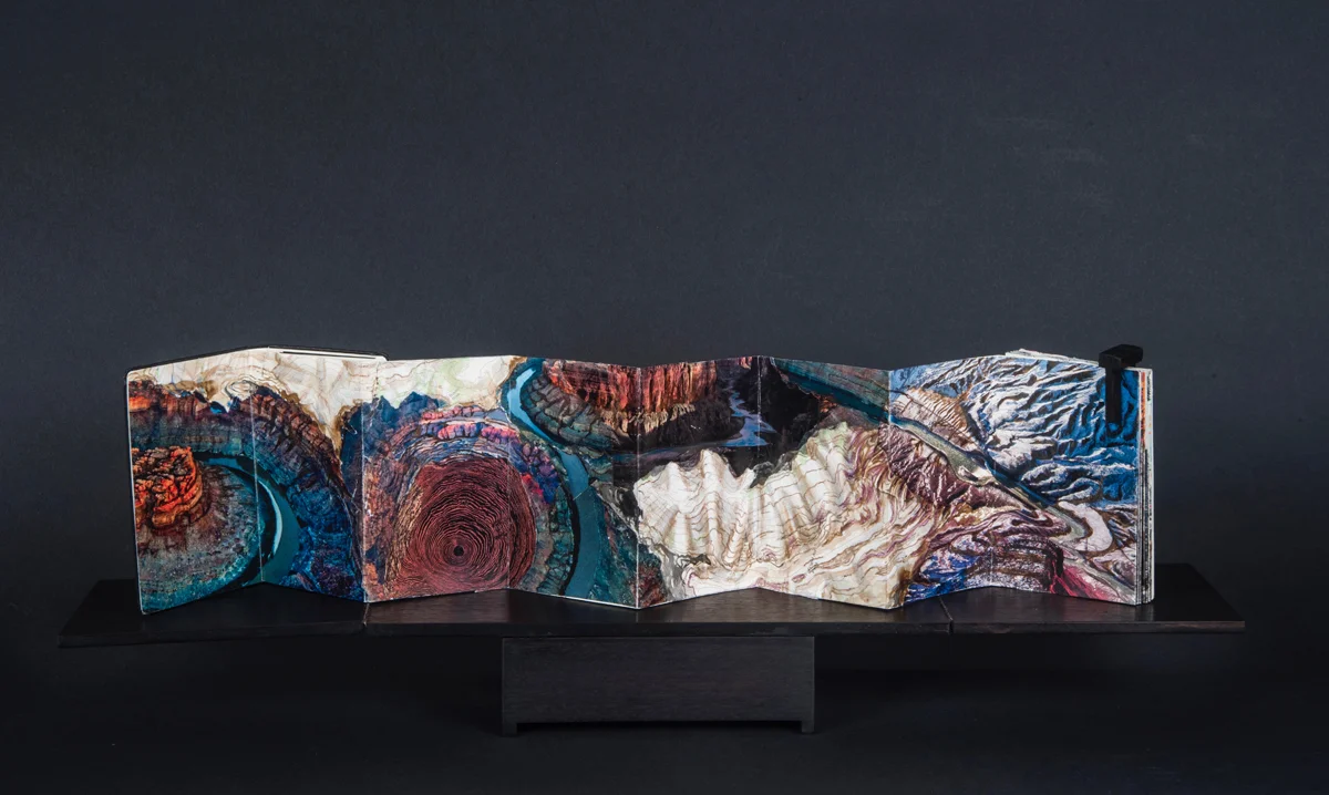 Stereoscope, 2017