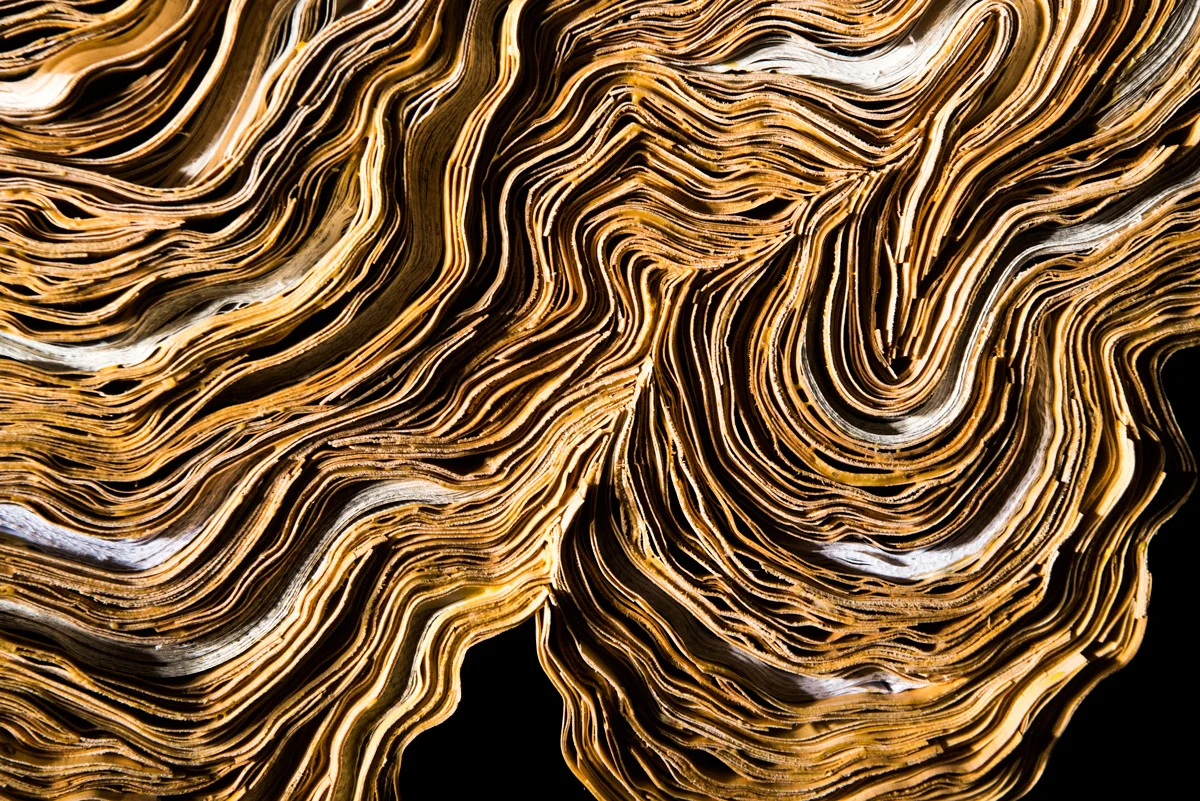 Strata, detail, 2017