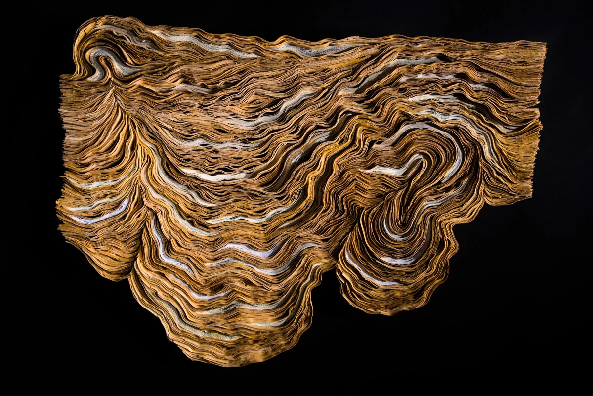 Strata, 2017