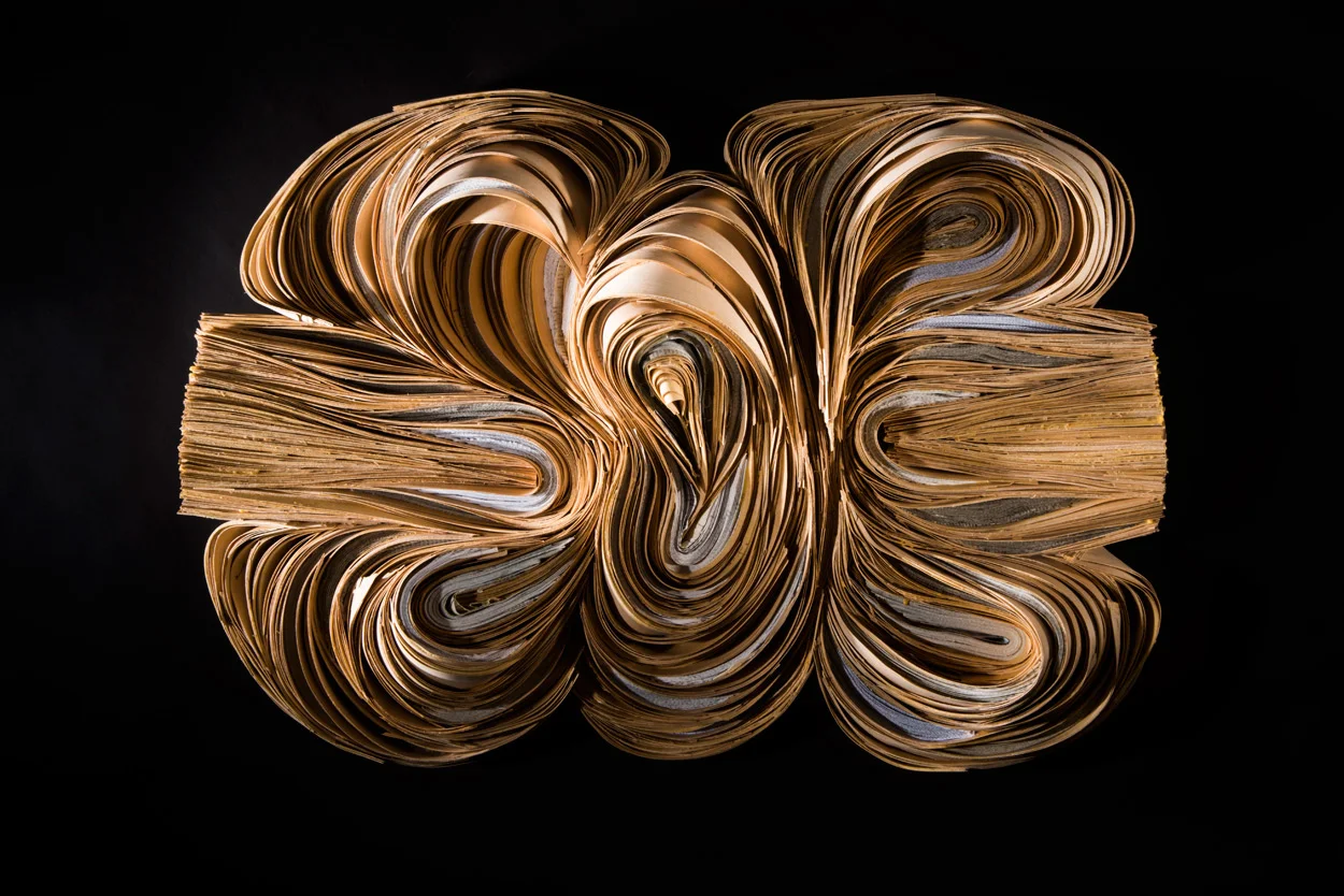 FUSE, 2018 wood, books, glue, 26" x 38" x 9"