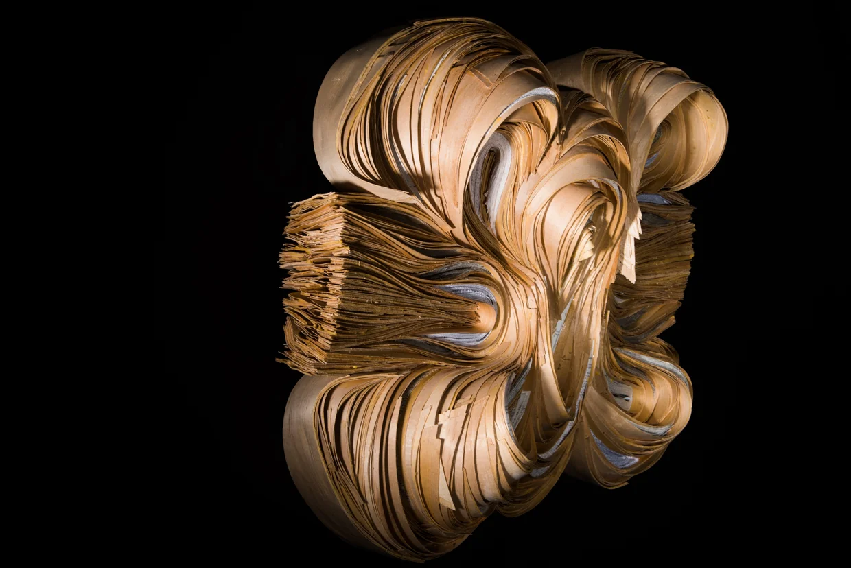 FUSE, 2018 wood, books, glue, 26" x 38" x 9"