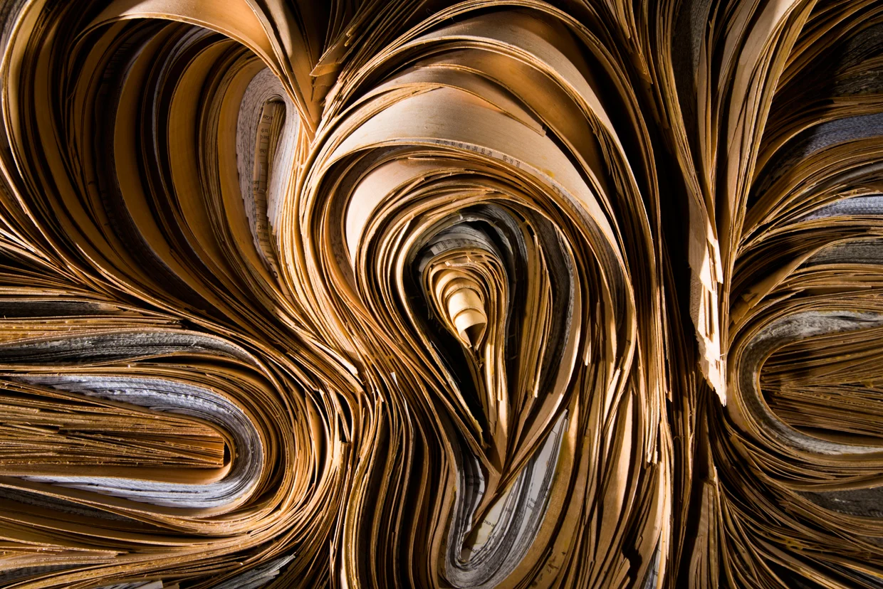FUSE, detail, 2018 wood, books, glue, 26" x 38" x 9"