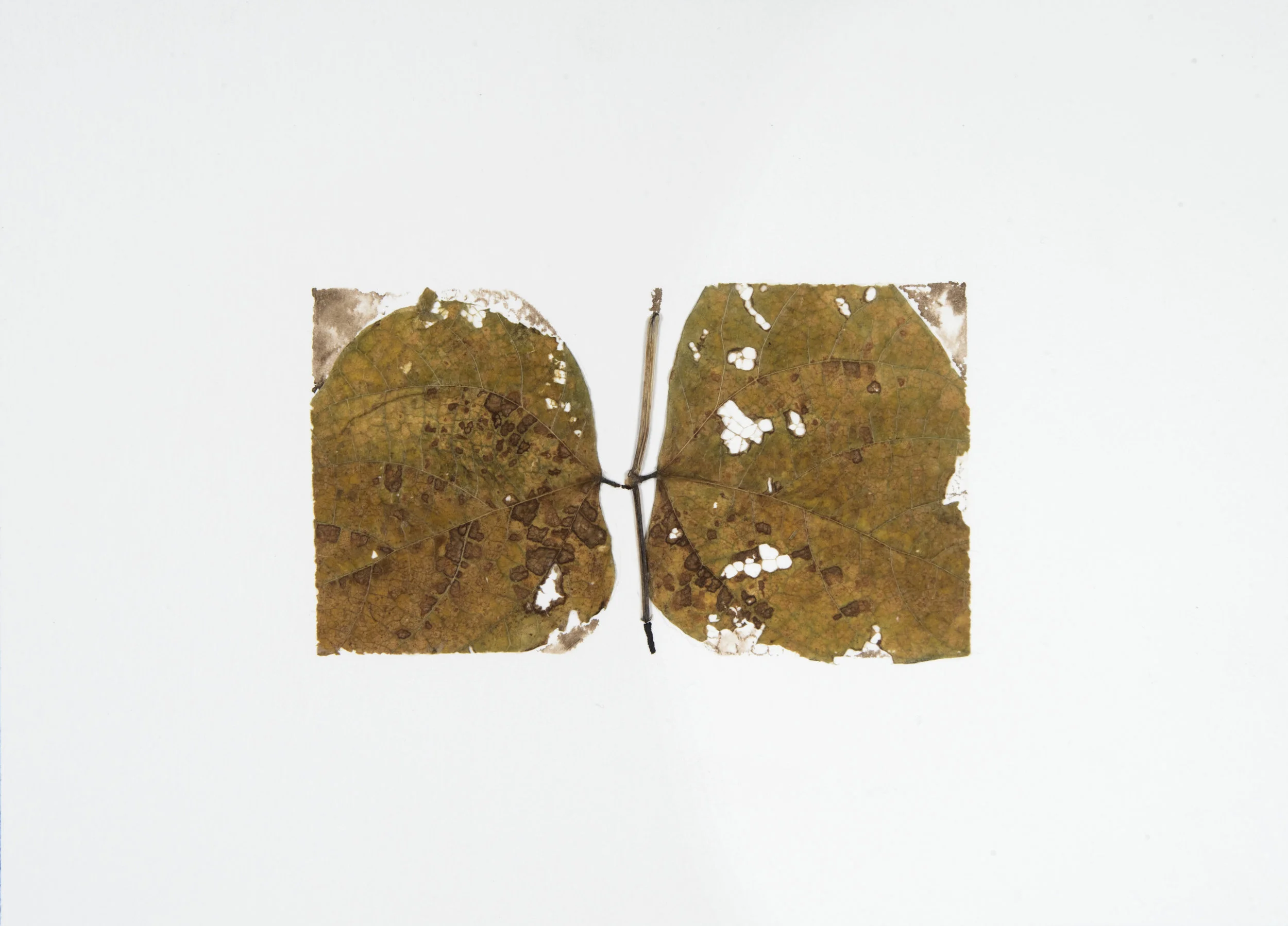 Leavings 28, 2018