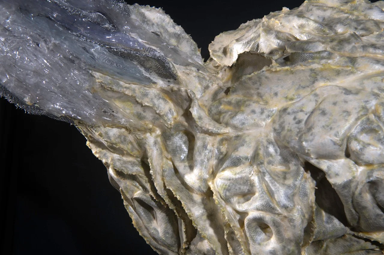 ANTHROPOGENIC LIFE FORM 9. detail, 2026
