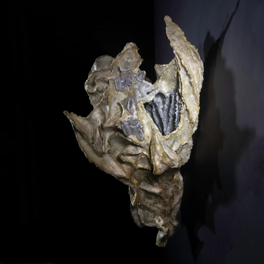 ANTHROPOGENIC LIFE FORM 7, side, 2026