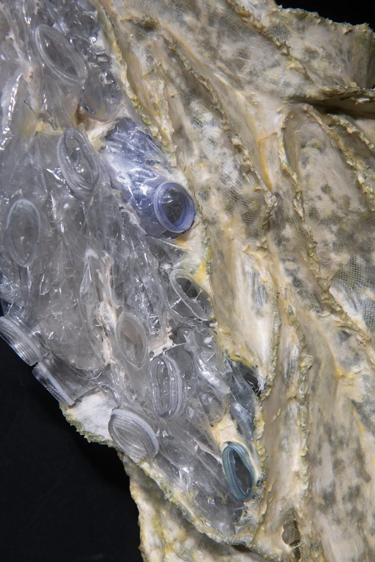 ANTHROPOGENIC LIFE FORM 7, detail, 2026