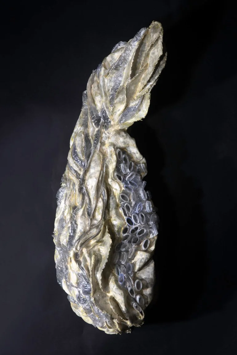 ANTHROPOGENIC LIFE FORM 8, side, 2026