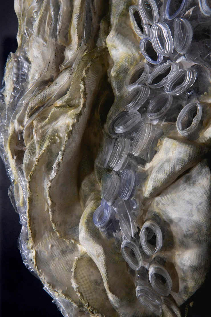 ANTHROPOGENIC LIFE FORM 8, detail, 2026