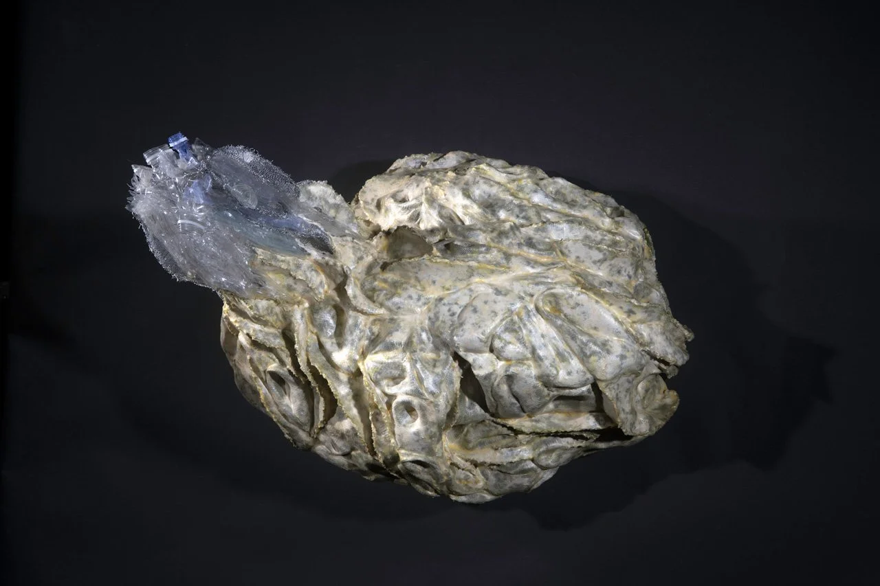ANTHROPOGENIC LIFE FORM 9, side, 2026