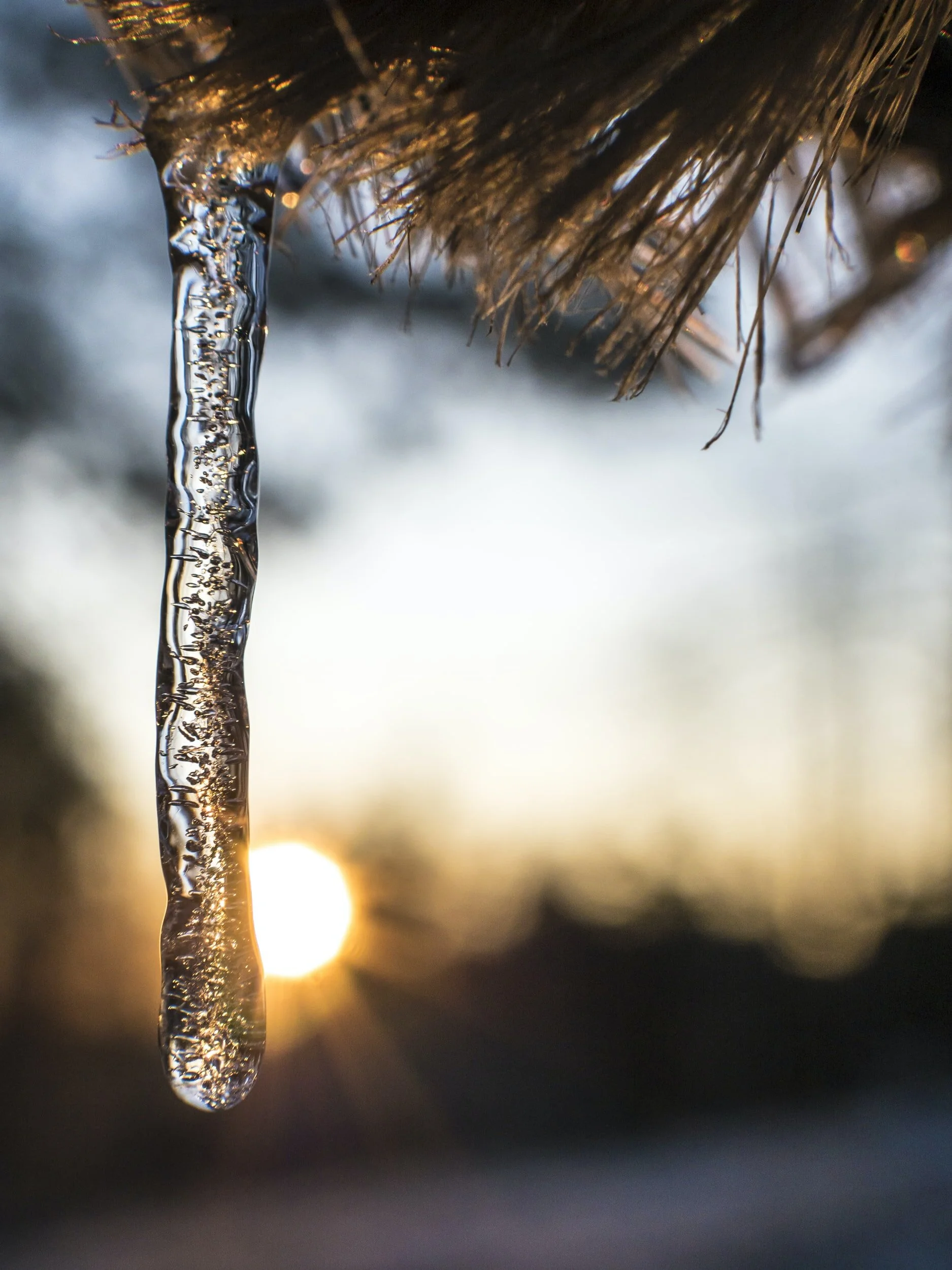 Frozen:  The states of water; states of mind