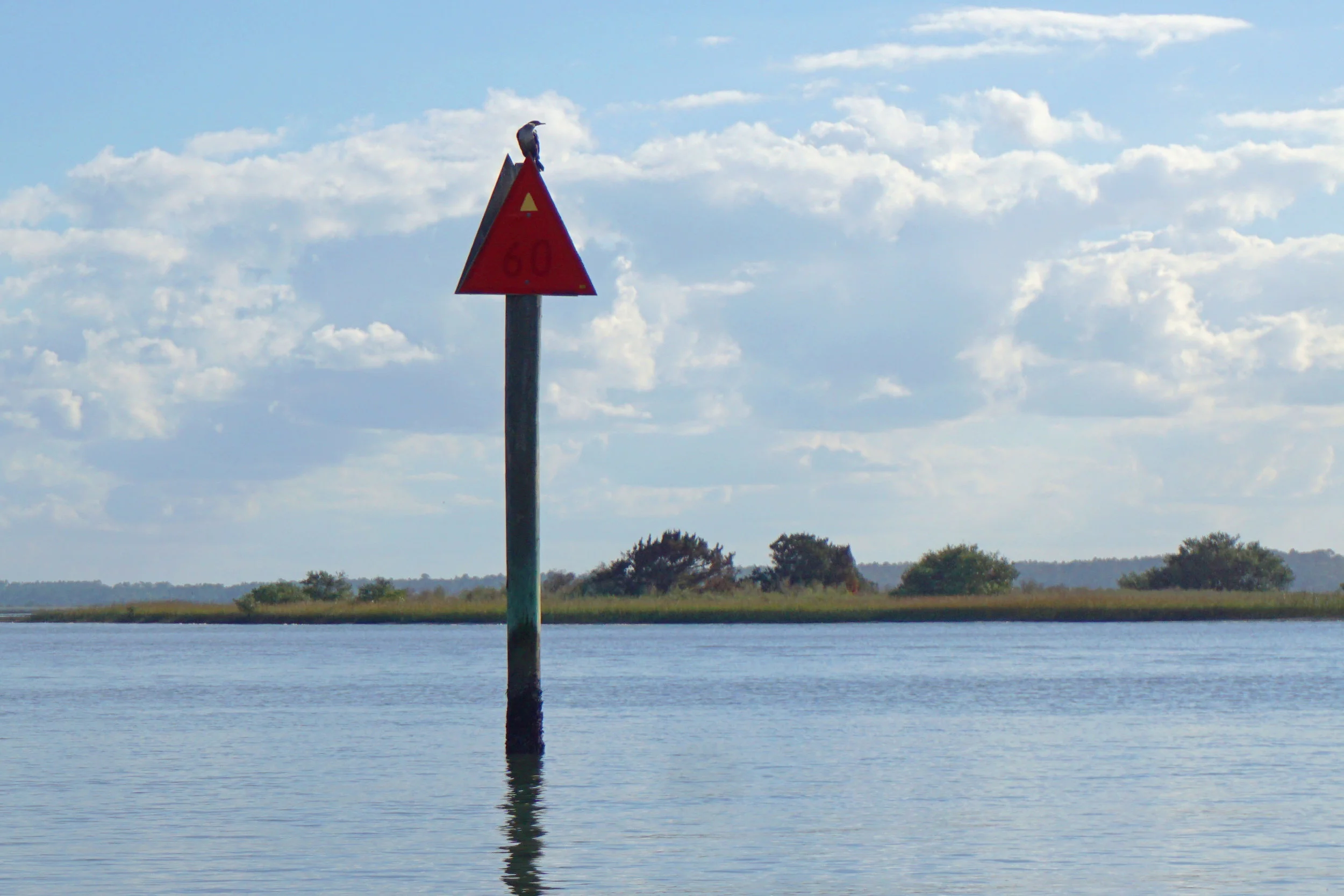 On the Matanzas.jpg