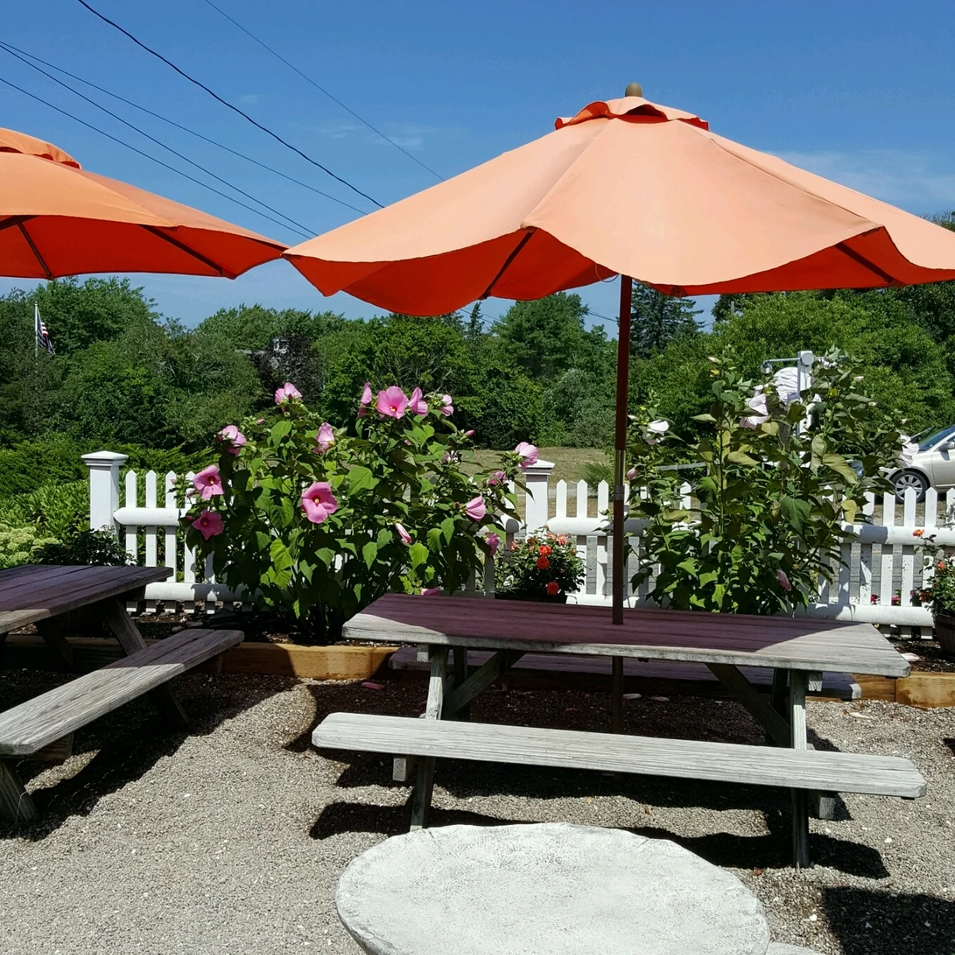 20160814_1135451.jpg