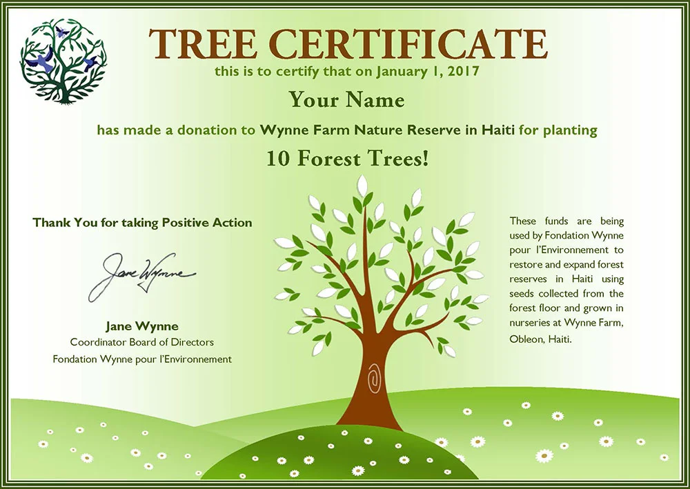 Tree-Certificate.jpg