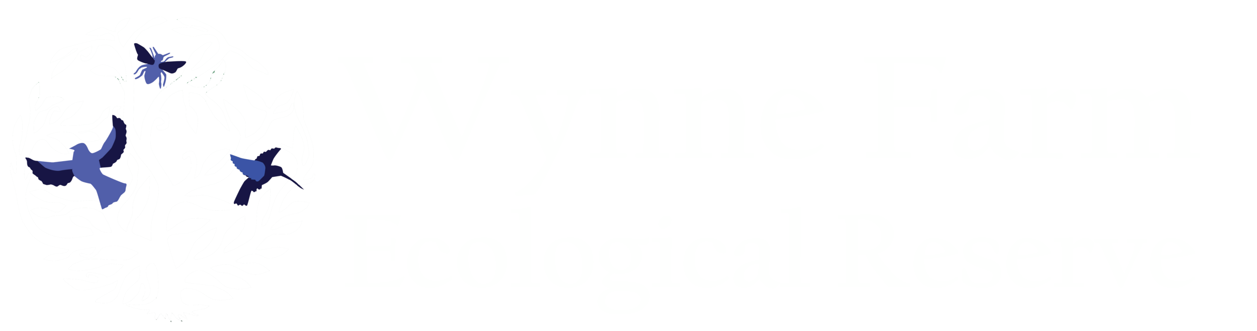 Banner 1000x263 px (PNG)