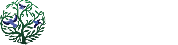 White Text - English