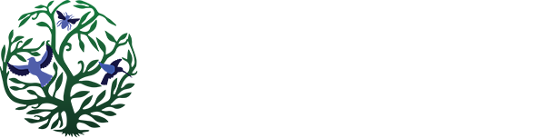 White Text - French