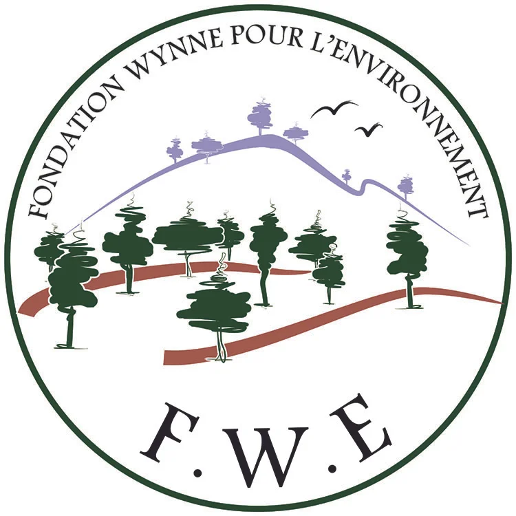 FWE Logo 750x750 px (JPG)