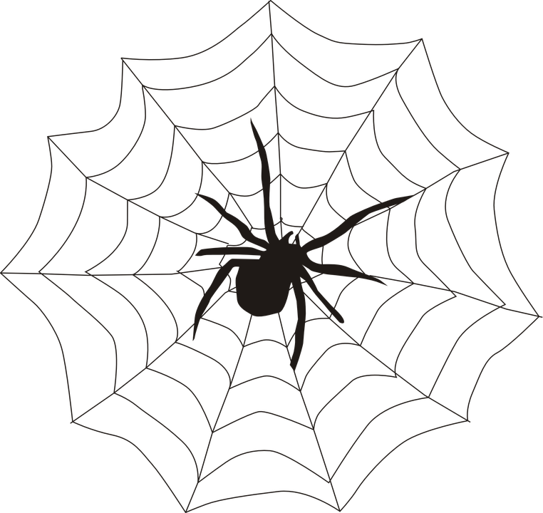 spider-155449_960_720.png