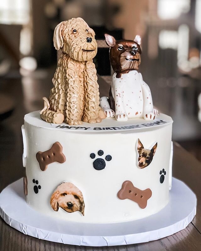 It doesn&rsquo;t get much better than cake and puppies. 🐾🎂