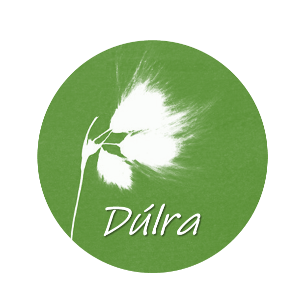 17. DulraLogo.png