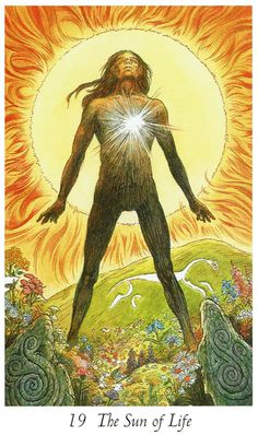 Wild Wood Tarot -Sun of Life Card