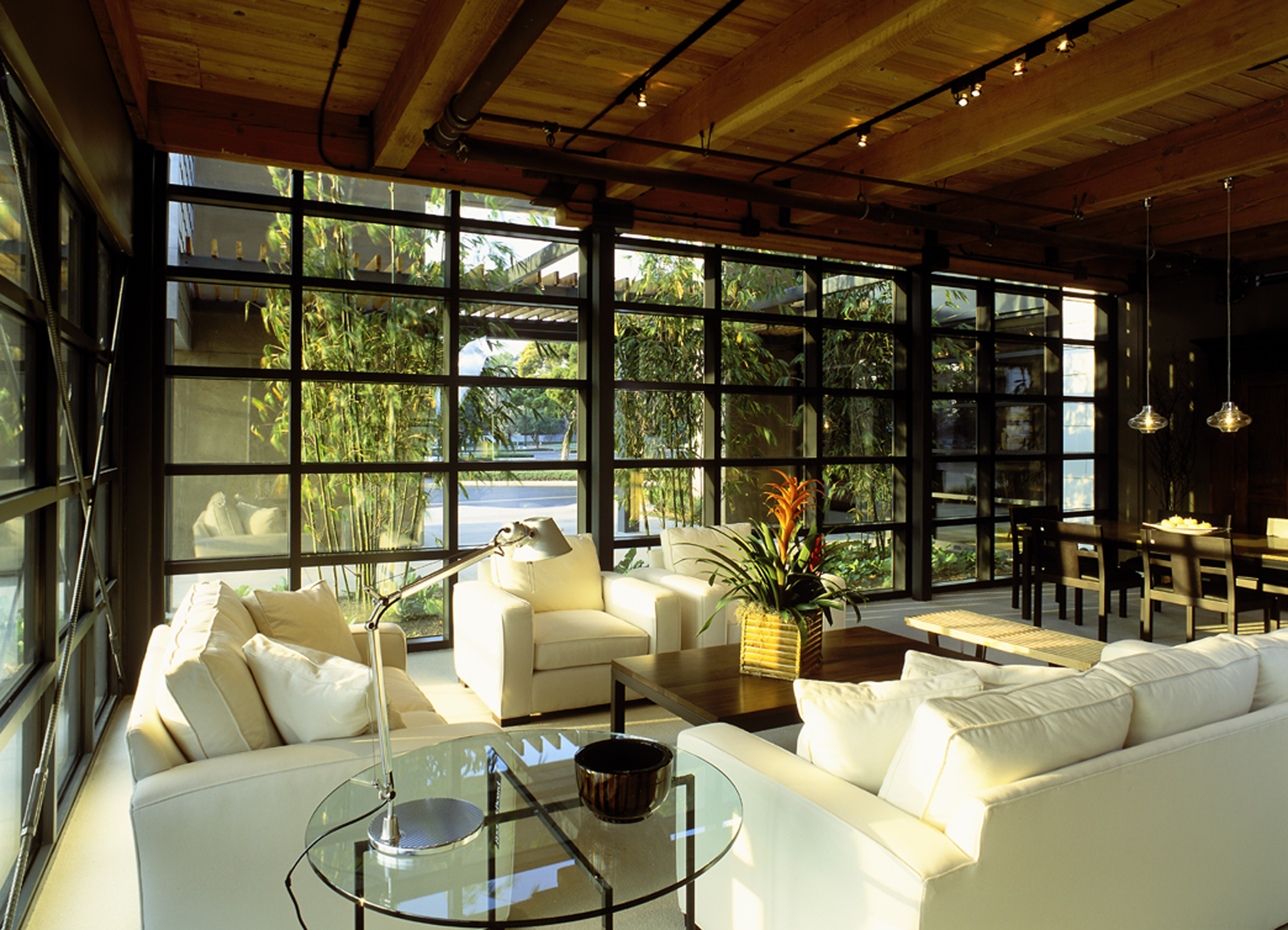 MAXIMIZING NATURAL SUNLIGHT