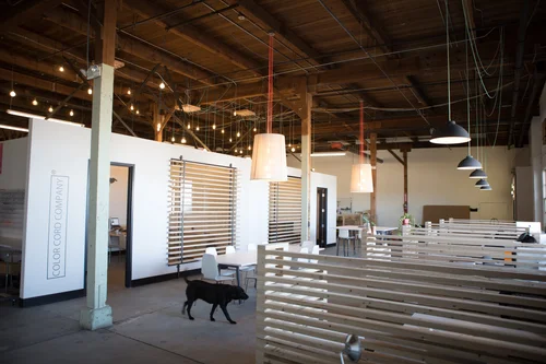 Color Cord Company