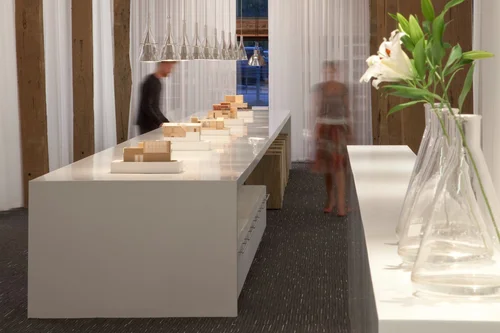 Temenos RSA Studio