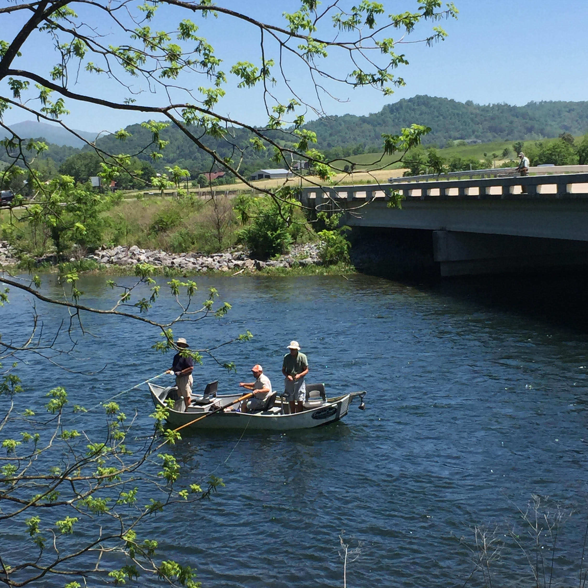 River boat 5.jpg