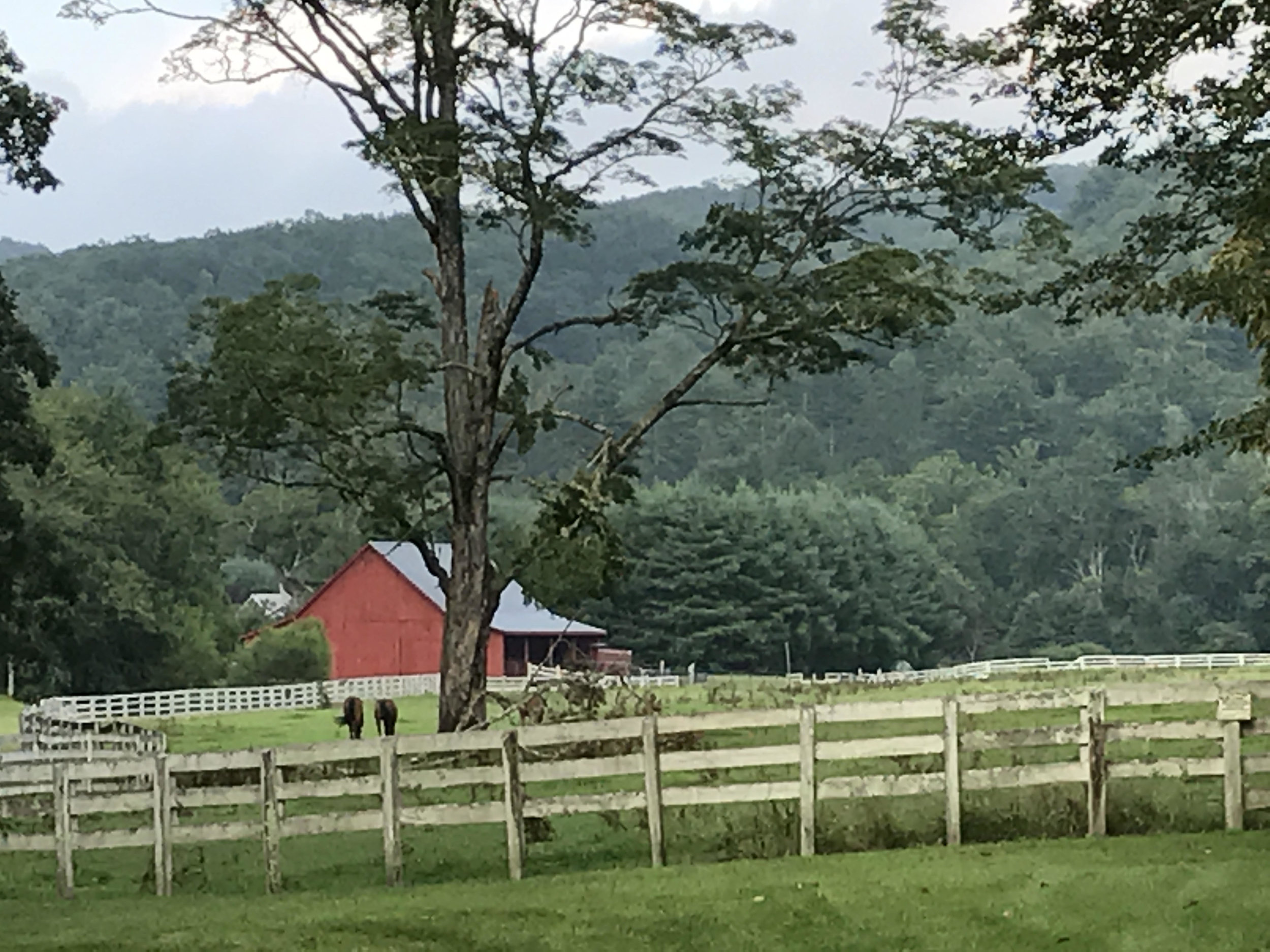 Bee Cliff Cabins