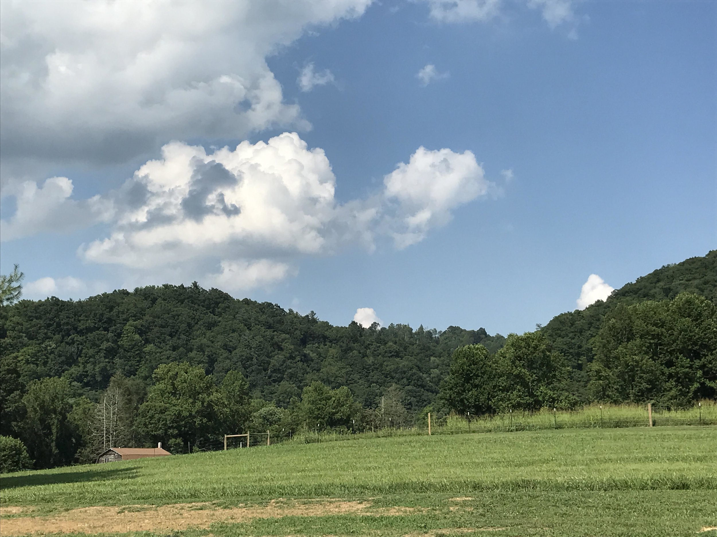 View.jpg