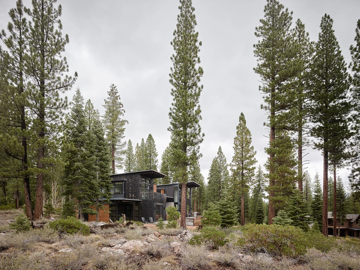 Lot 141_Exterior_Side View Woods.jpg