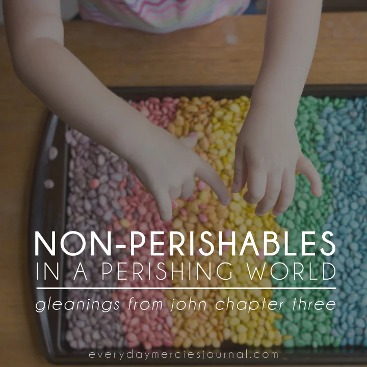 jn3-perishables.jpg