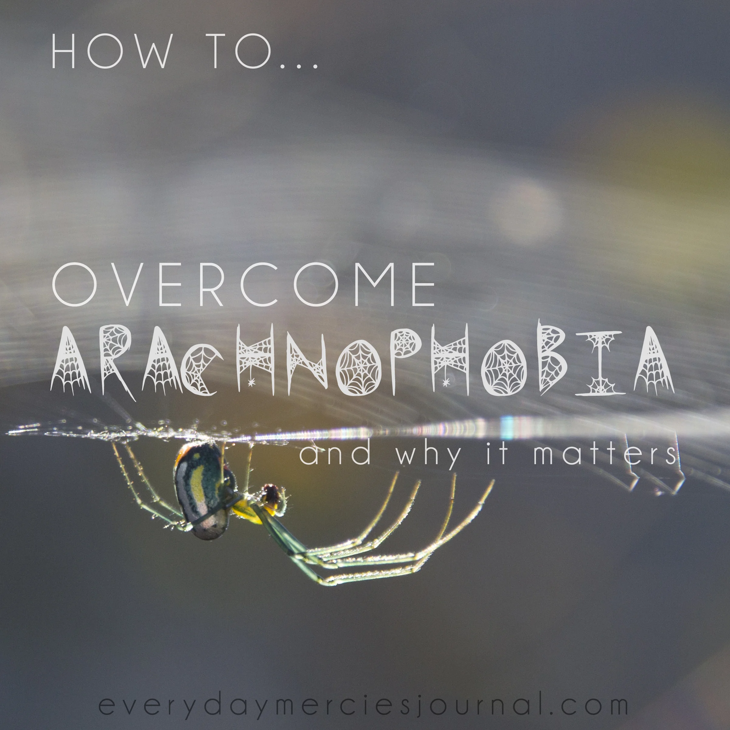overcomearachnophobia.jpg