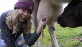 Udder Fun Whale Watching in the Azores