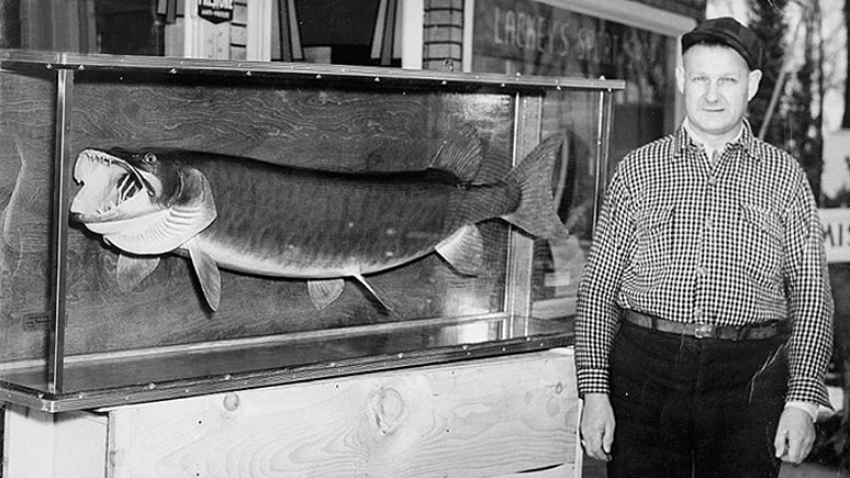 Muskie Madness in Wisconsin