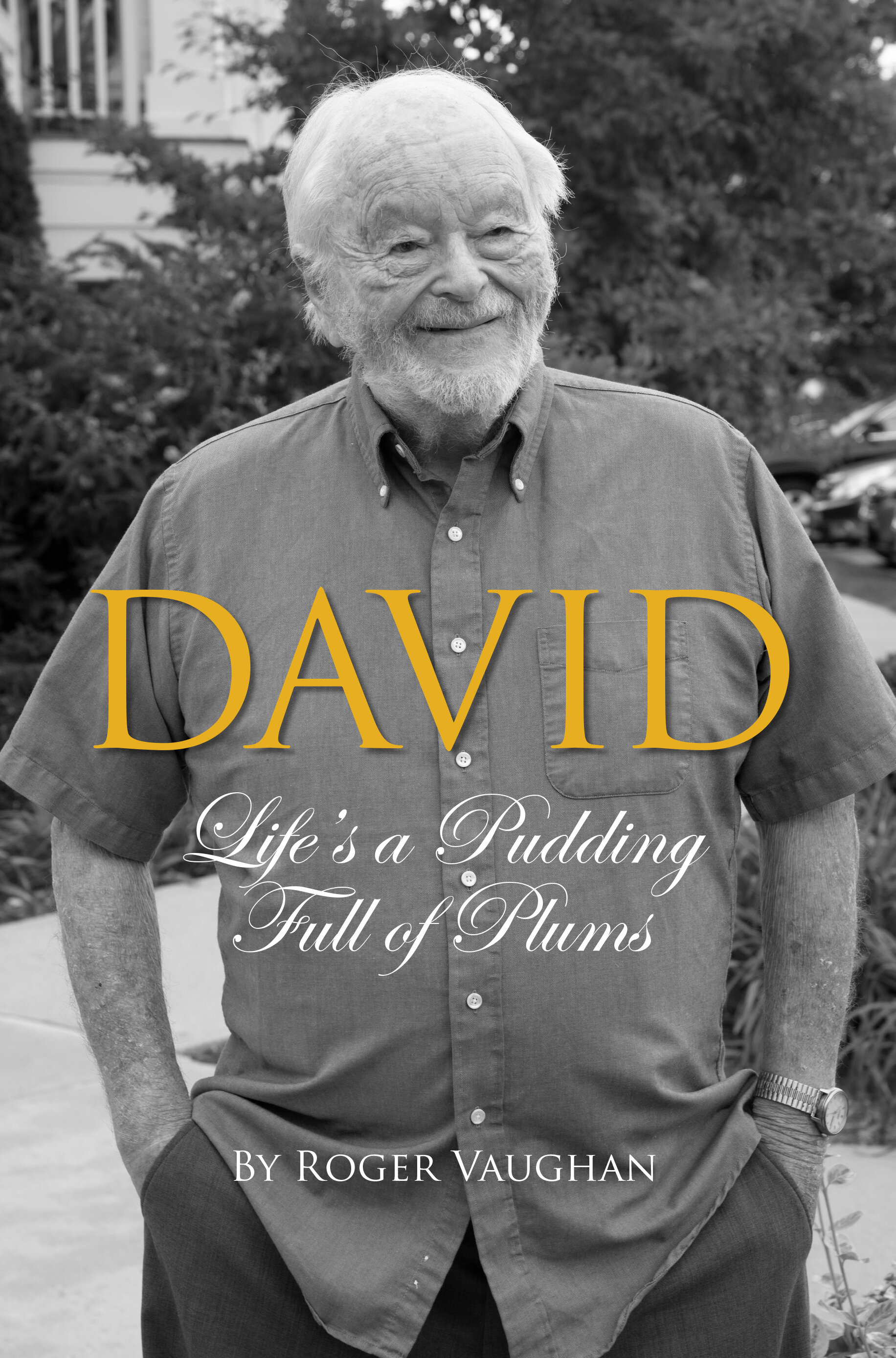 David Book Cover.jpg