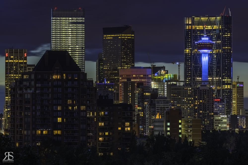 Where the Bow hugs the Calgary Tower.