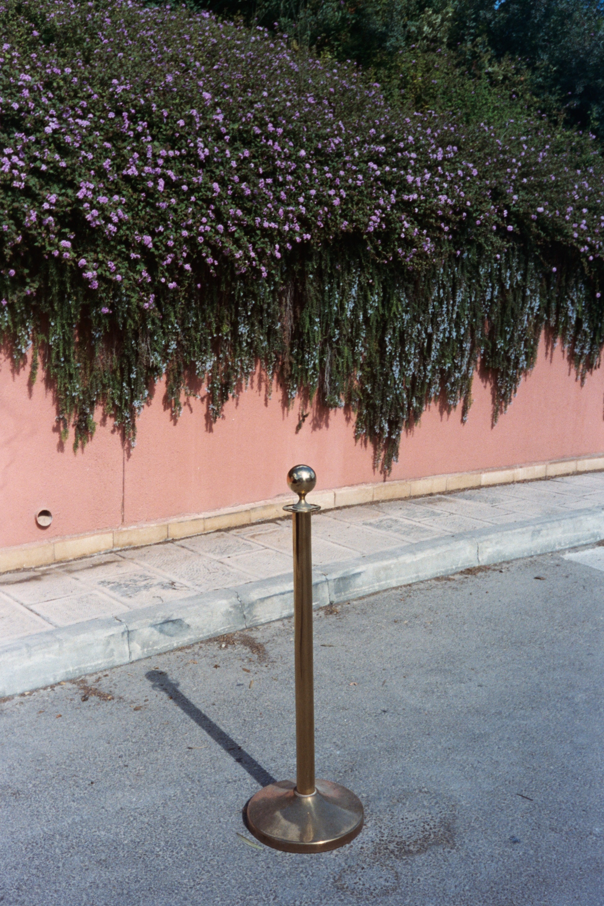AA008.jpg