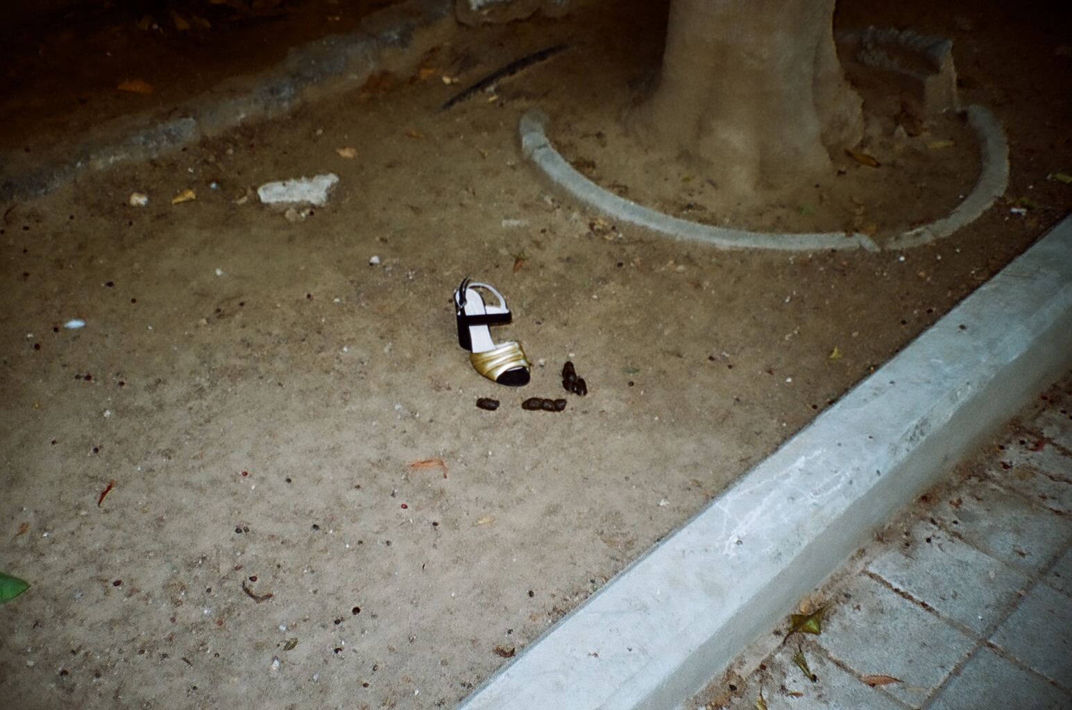 01240025.JPG