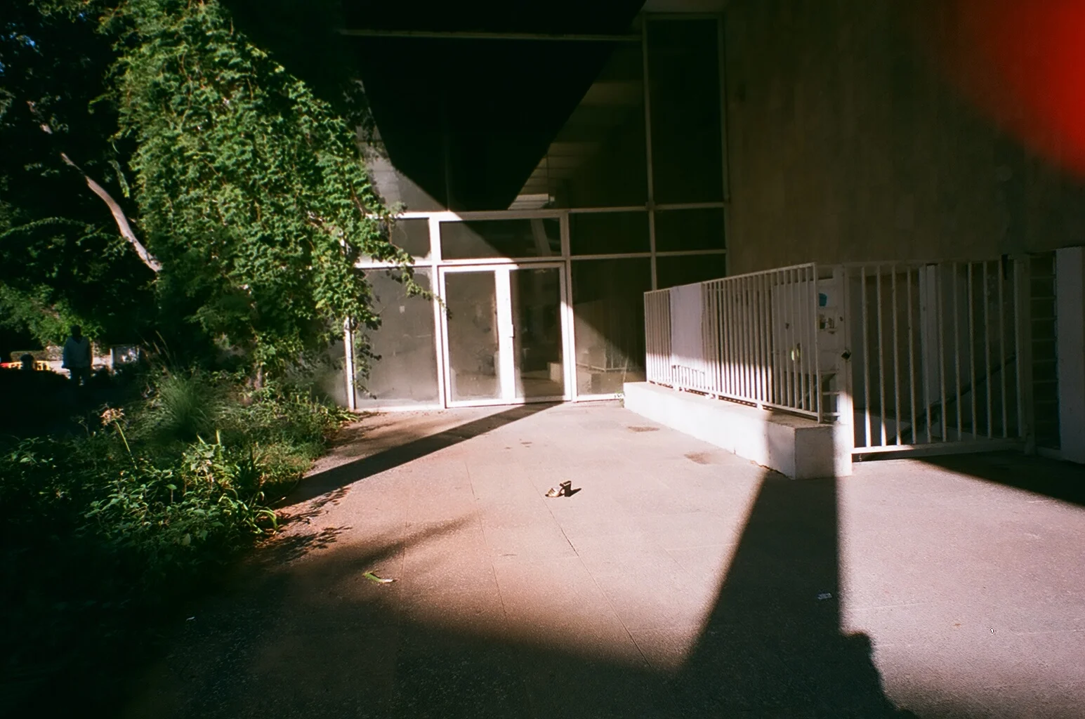 00590037.JPG