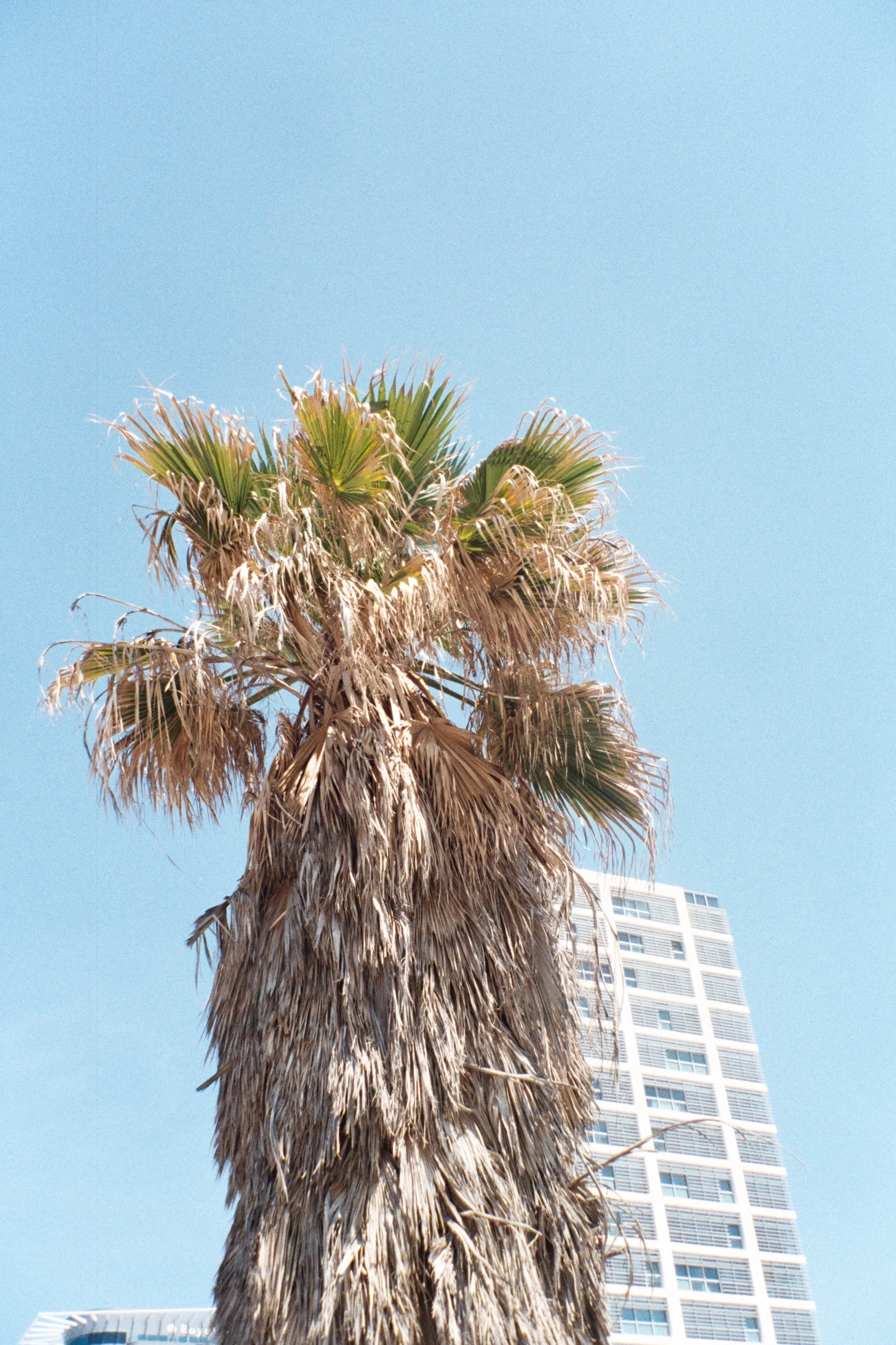 _- 108.jpg