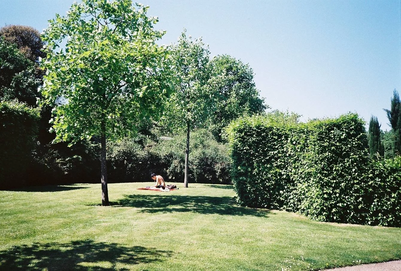 CNV00032_2x.jpg