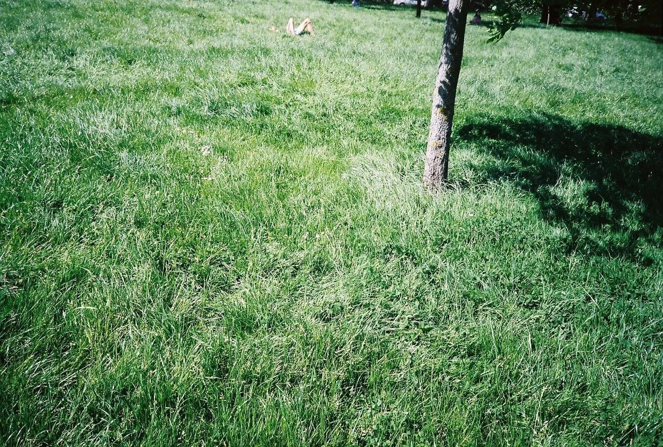 CNV00041_2x.jpg