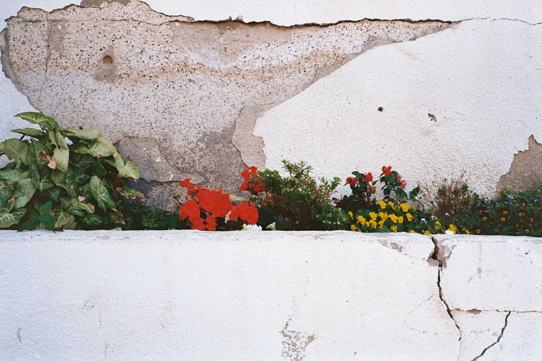 B704759D-F580-4271-9AB0-02D3BE0FA395.jpeg