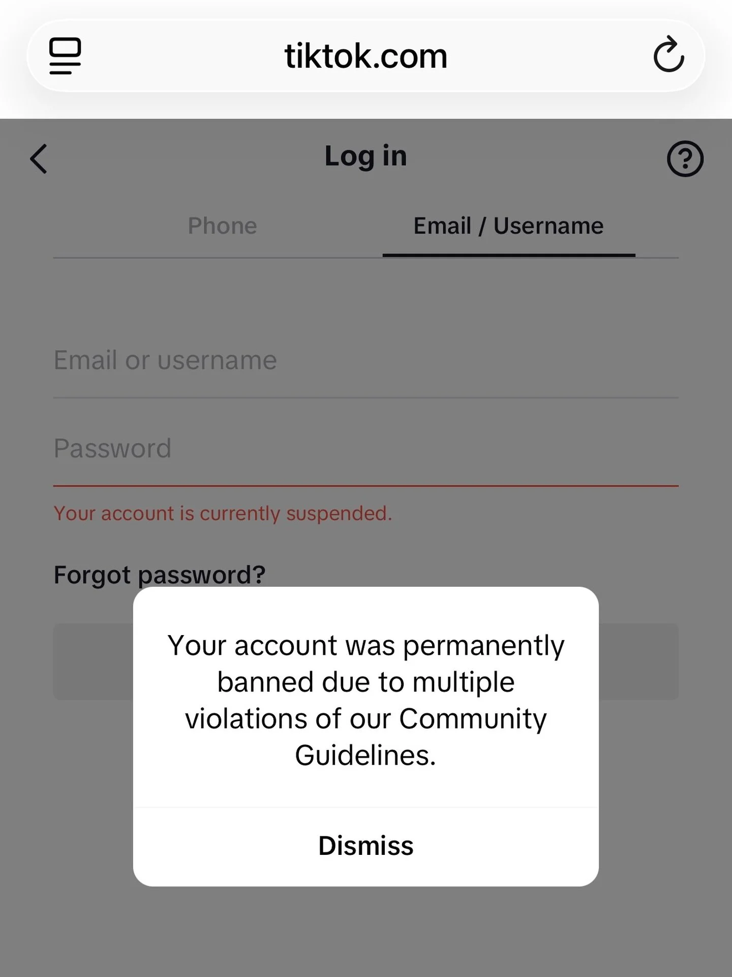 ☝🏽🎤🫤 POV: #TikTokBanned Creator For Saying The Multiple Posts Saying #Retard On #TikTok Aren&rsquo;t We Stupid And Dumb Nowadays? https://www.tiktok.com/@shreddedbeyondabsolute
JustAFlipSideOfMe JustASnapShotOfMeNow 👉🏽Me: IAmMeRightNow #Shredded