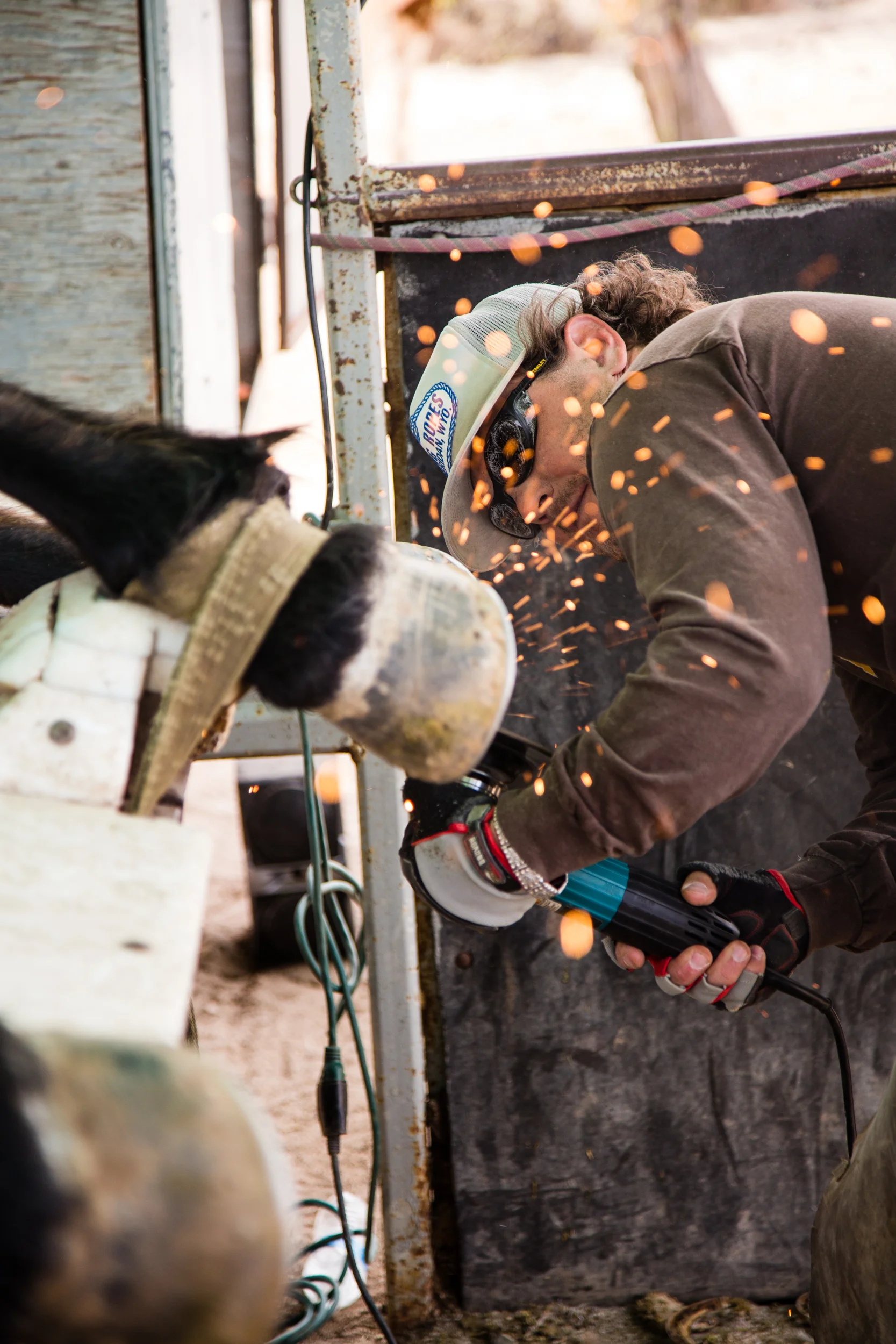160311_AZ_Robert_Shoeing_Table_35.jpg