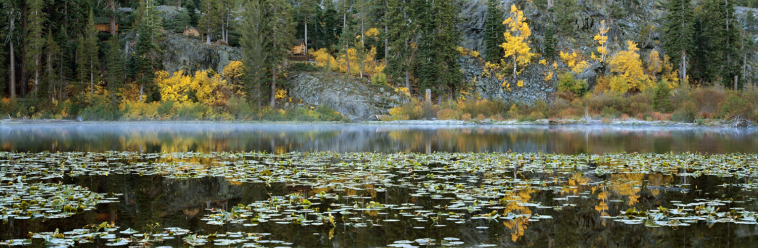 Lily Pads and Fall Reflections, Lily Lake, Lake Tahoe