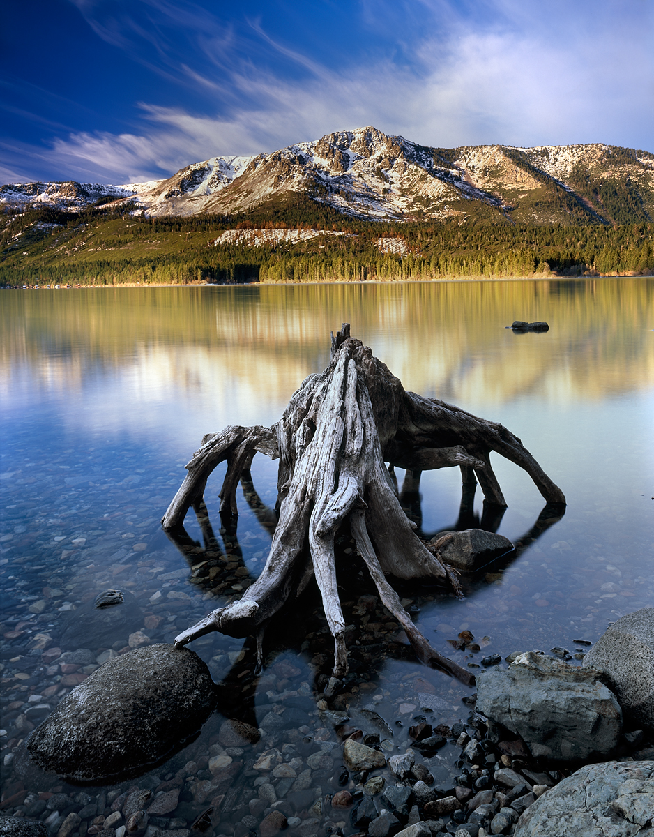 Spider Stump, Sunrise, Fallen Leaf Lake, Lake Tahoe Basin