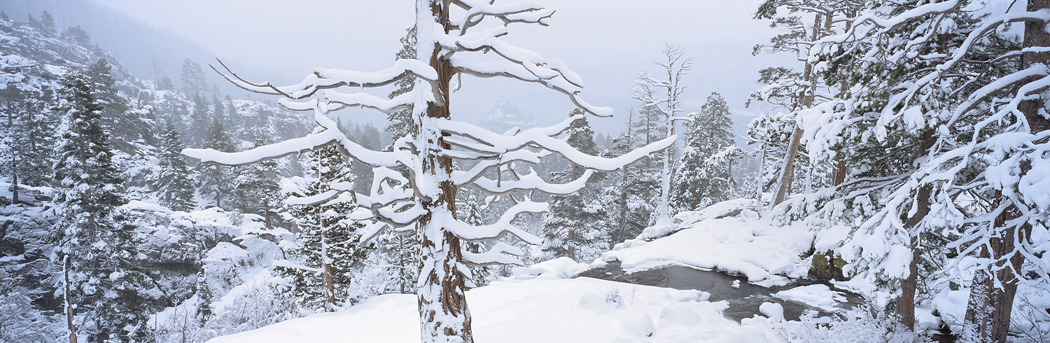 Winter Tranquility Panorama, Emerald Bay, Lake Tahoe